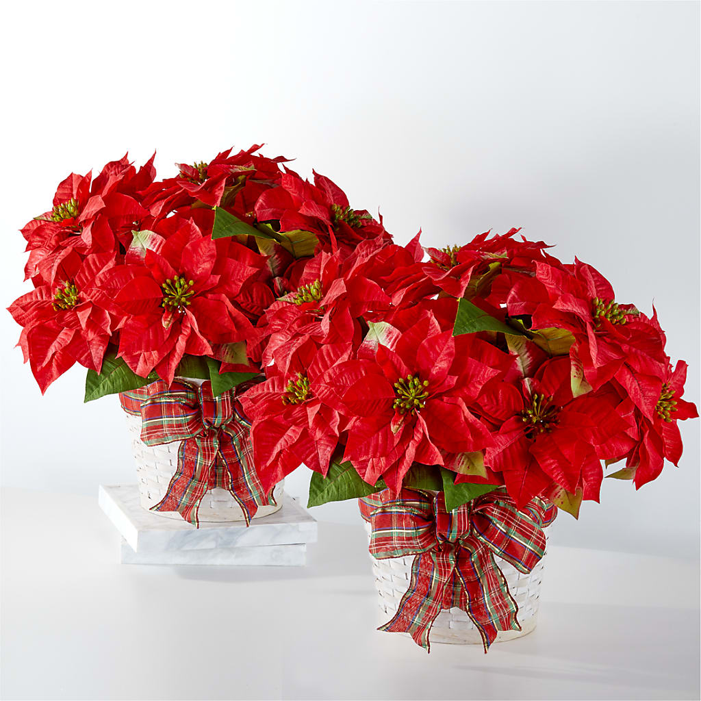 Happiest Holidays Poinsettia Bundle – Albertsons Floral #3195, Meridian ID