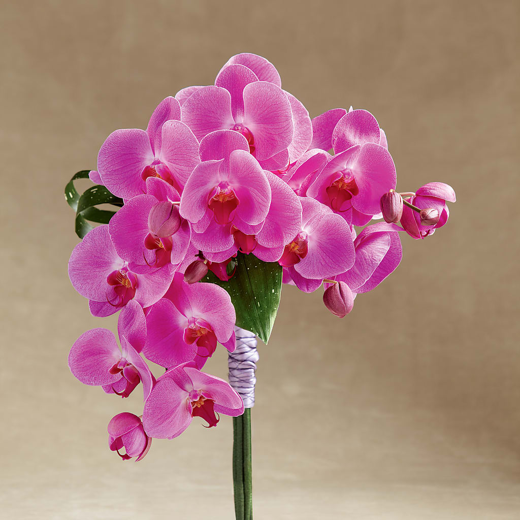 Glorious Bouquet – Albertsons Floral #3195, Meridian ID