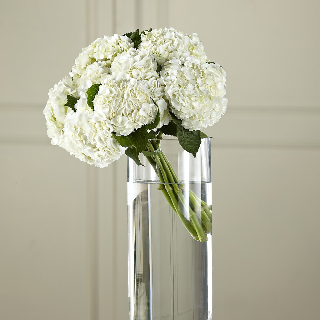 White Hydrangea Hand-Tied Bouquet – Albertsons Floral #3195, Meridian ID