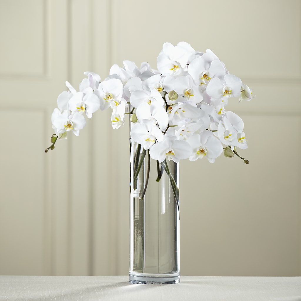 White Phalaenopsis Bouquet – Albertsons Floral #3195, Meridian ID
