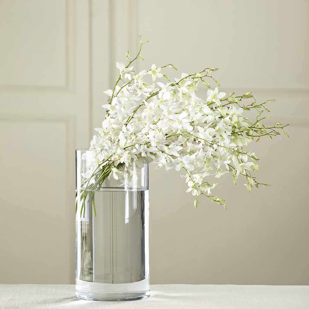 White Dendrobium Bouquet – Albertsons Floral #3195, Meridian ID