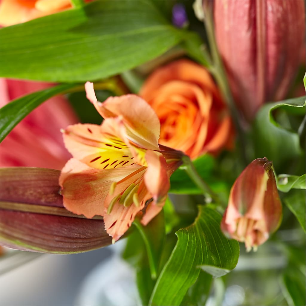Bold & Bright – A Florist Original –  Albertsons Floral #3195, Meridian ID