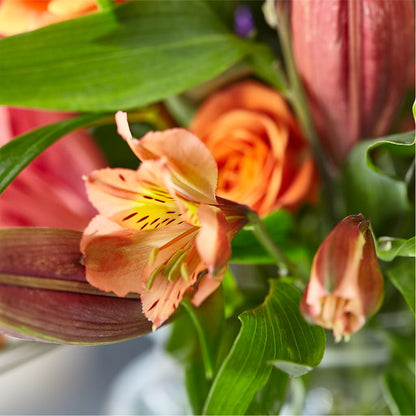 Bold & Bright – A Florist Original –  Albertsons Floral #3195, Meridian ID