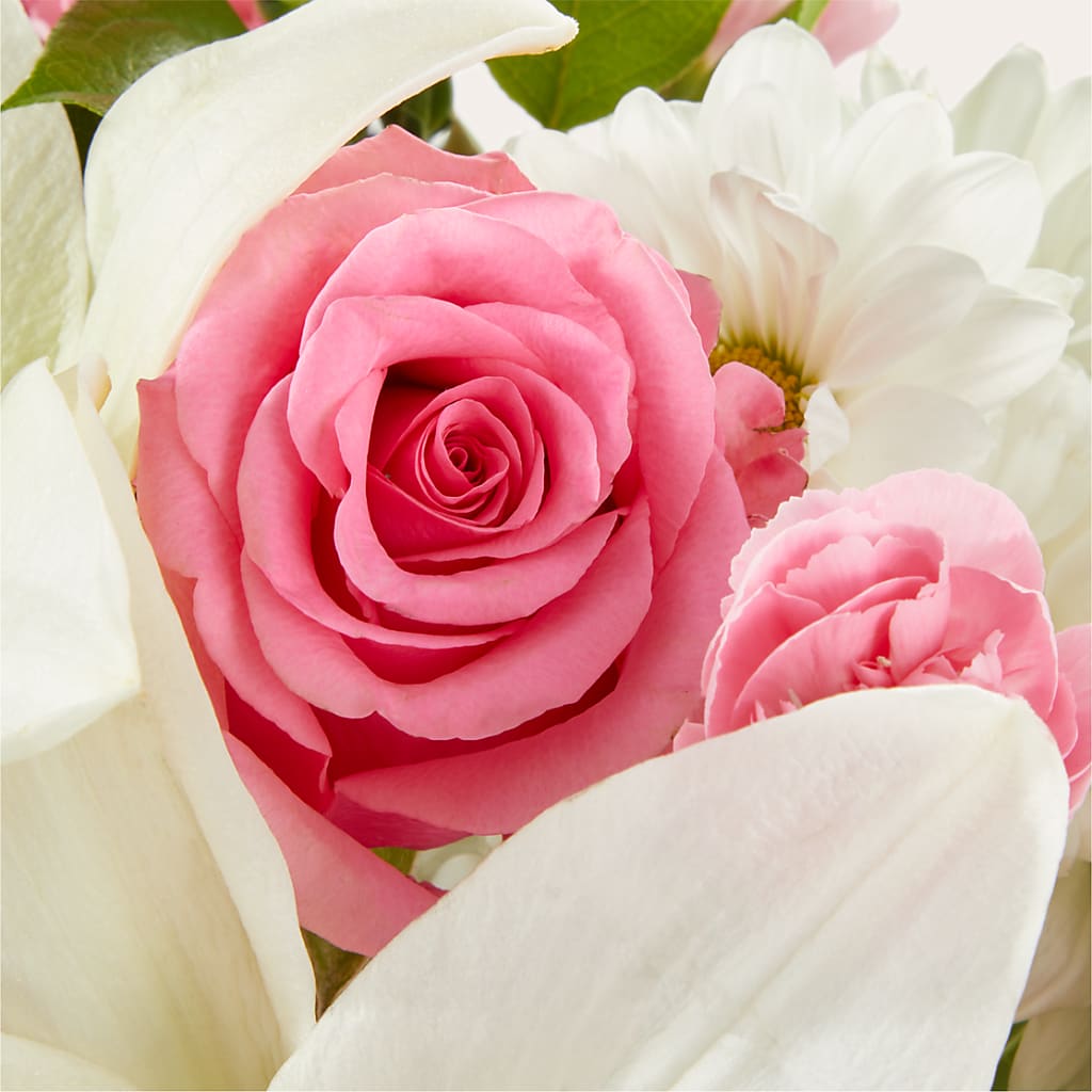 Whispers of Comfort Bouquet –  Albertsons Floral #3195, Meridian ID