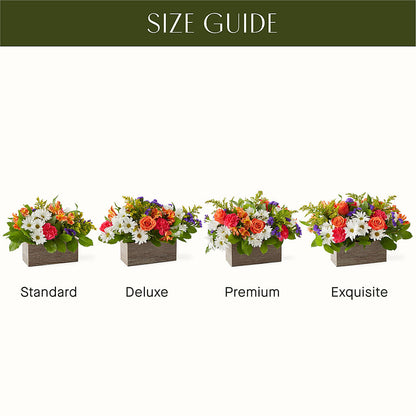 Oopsie Daisy Box Bouquet –  Albertsons Floral #3195, Meridian ID