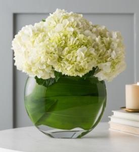 Debi Lilly Allure Hydrangea –  Albertsons Floral #3195, Meridian ID