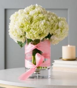 Debi Lilly Illusion Hydrangea –  Albertsons Floral #3195, Meridian ID