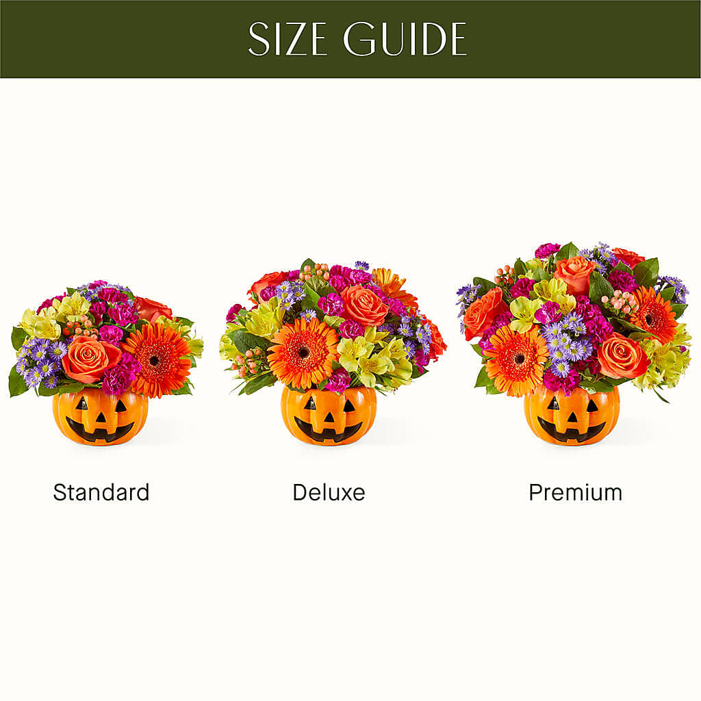 Tricks & Treats Pumpkin –  Albertsons Floral #3195, Meridian ID
