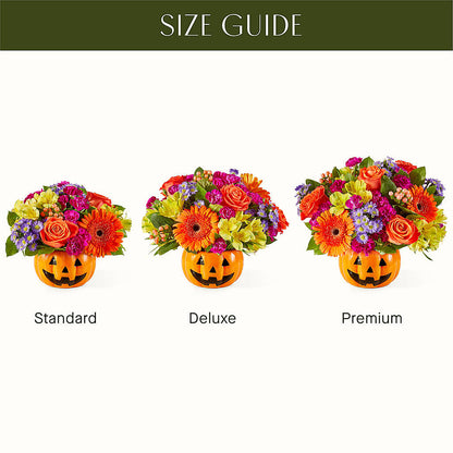 Tricks & Treats Pumpkin –  Albertsons Floral #3195, Meridian ID