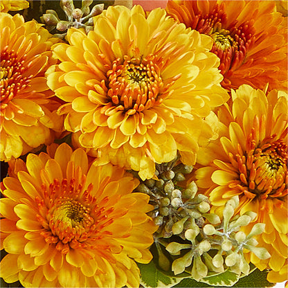 Peachy Pumpkin –  Albertsons Floral #3195, Meridian ID
