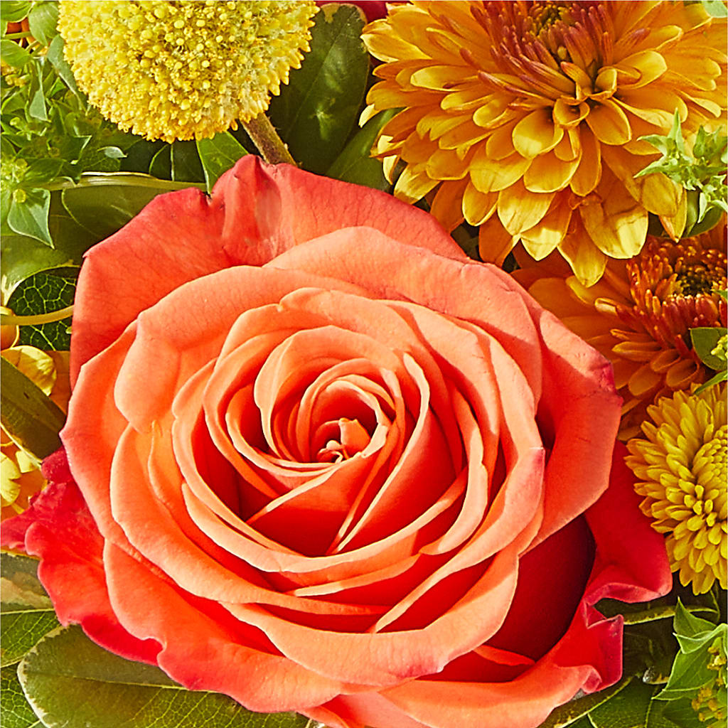 Gourdgeous Pumpkin –  Albertsons Floral #3195, Meridian ID