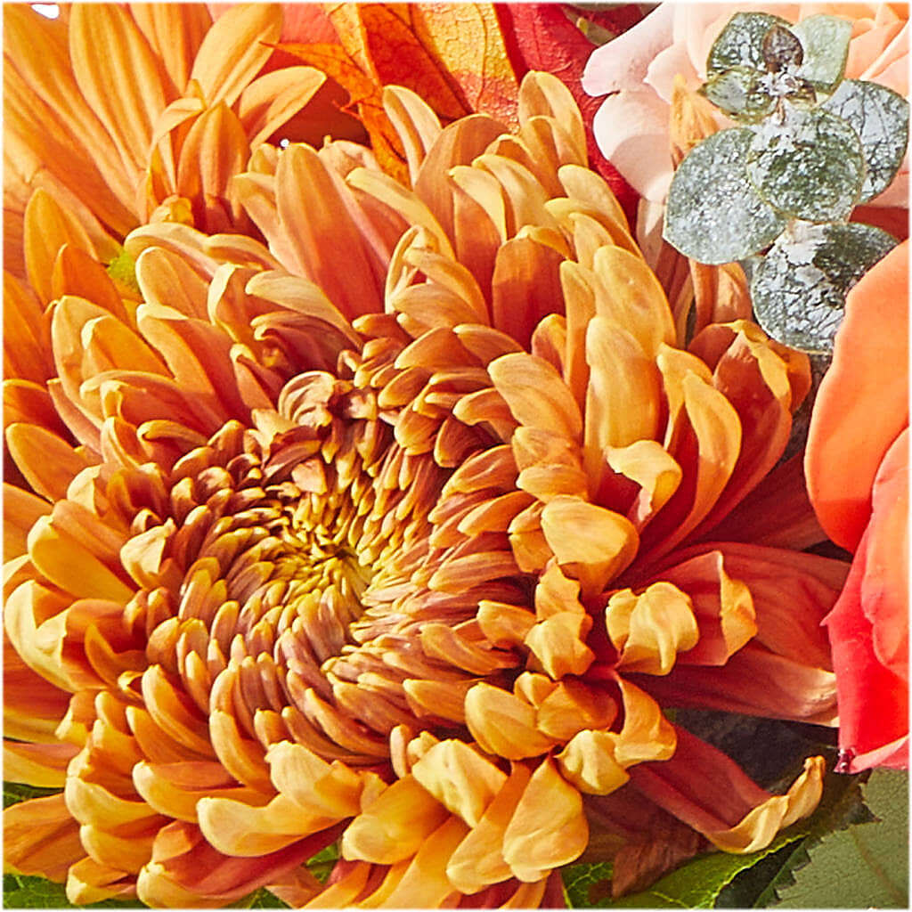 Scenic Route Bouquet –  Albertsons Floral #3195, Meridian ID