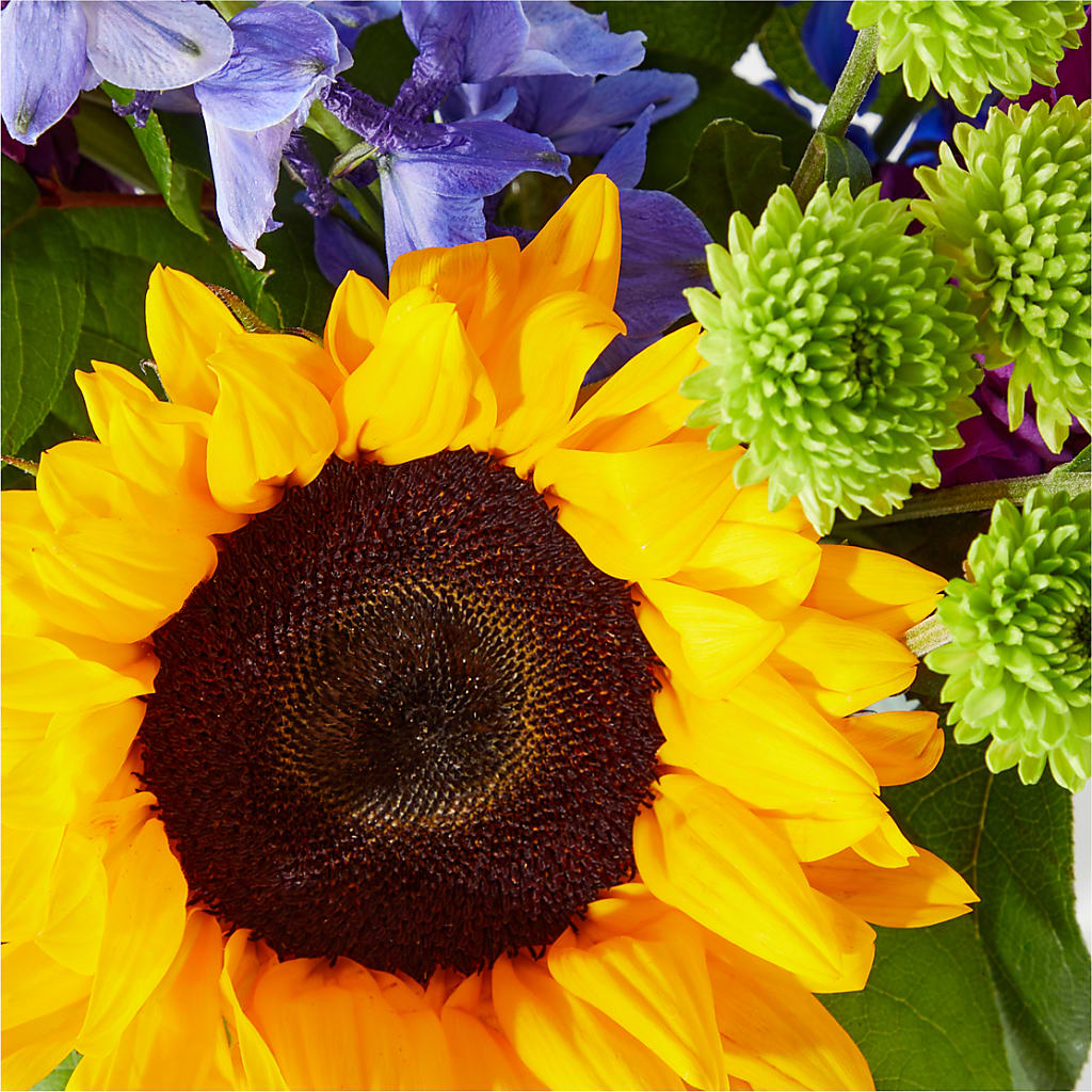 Catching Rays Bouquet –  Albertsons Floral #3195, Meridian ID