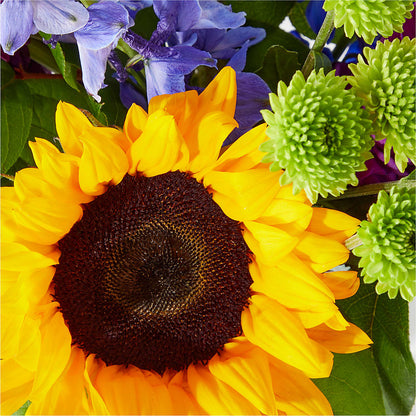Catching Rays Bouquet –  Albertsons Floral #3195, Meridian ID