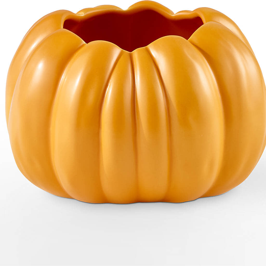 Golden Gourd Pumpkin Bouquet –  Albertsons Floral #3195, Meridian ID