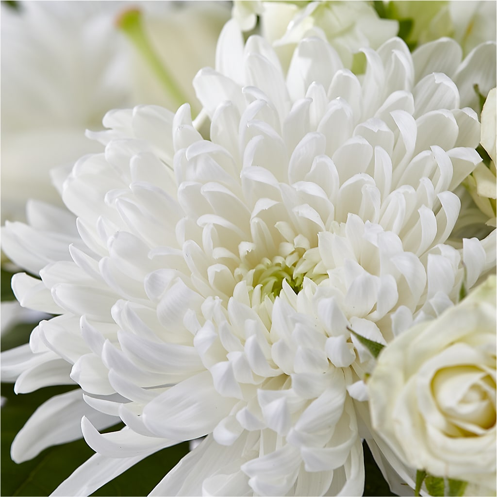 Classic Ivory – A Florist Original –  Albertsons Floral #3195, Meridian ID