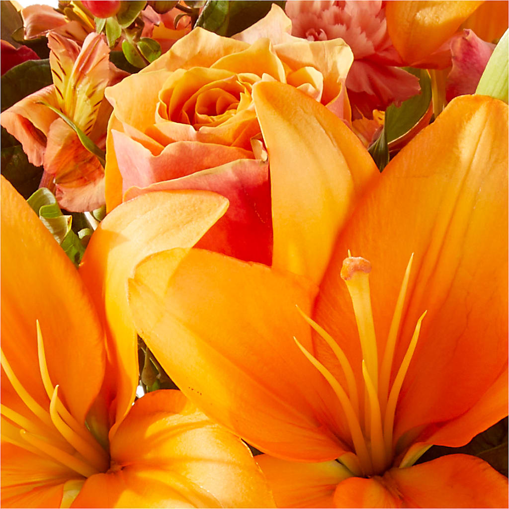 Afternoon Light Bouquet –  Albertsons Floral #3195, Meridian ID