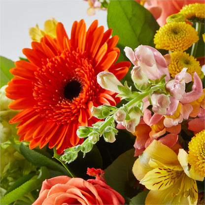 Autumn Sunshine Bouquet –  Albertsons Floral #3195, Meridian ID