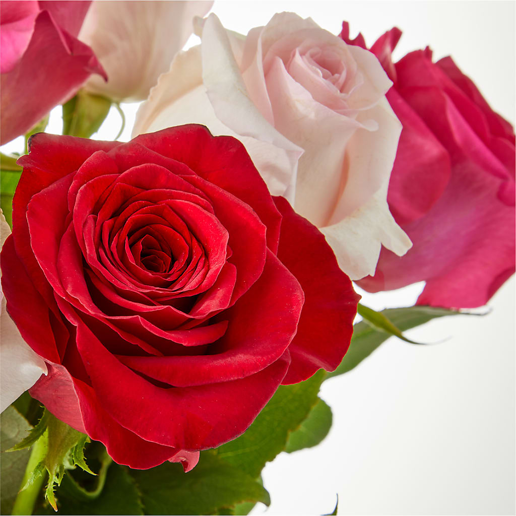 Charming Rose Bouquet –  Albertsons Floral #3195, Meridian ID
