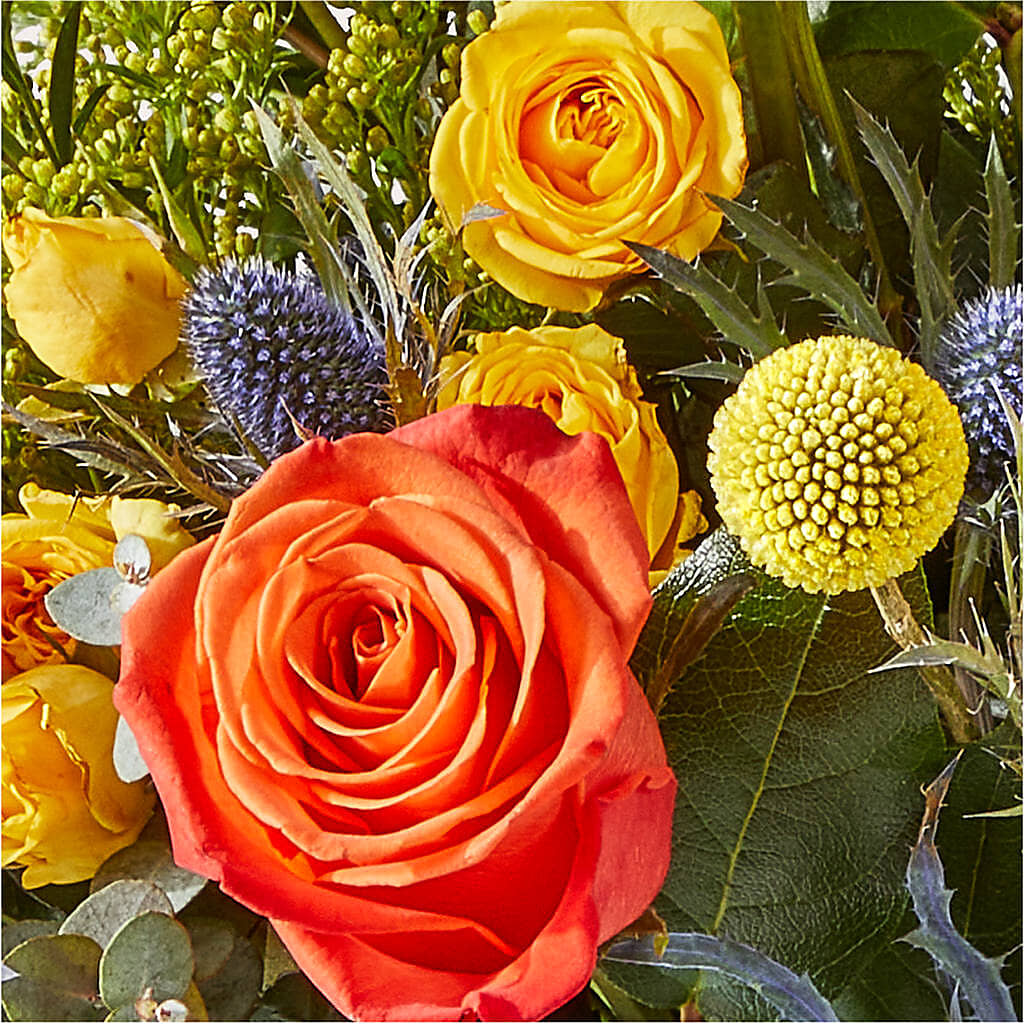 Disco Bouquet –  Albertsons Floral #3195, Meridian ID