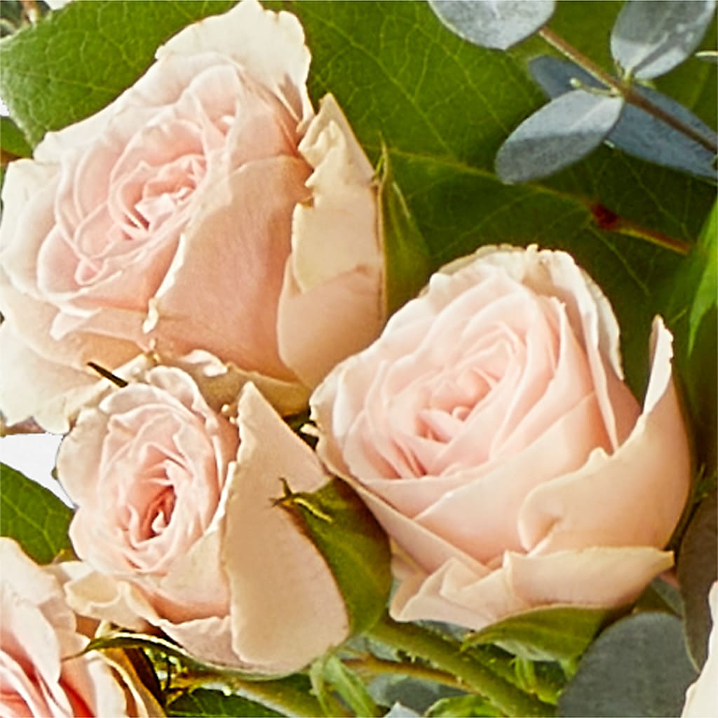 Inspired Bouquet –  Albertsons Floral #3195, Meridian ID