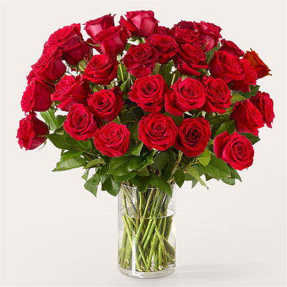 The One Red Rose Bouquet –  Albertsons Floral #3195, Meridian ID