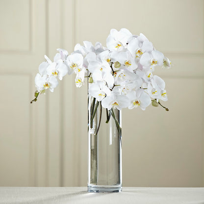 White Phalaenopsis Bouquet –  Albertsons Floral #3195, Meridian ID